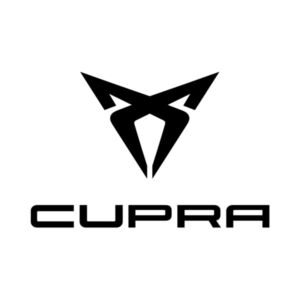 Cupra Formentor chiptuning — Van Drie Performance