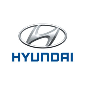Hyundai Kona chiptuning — Van Drie Performance